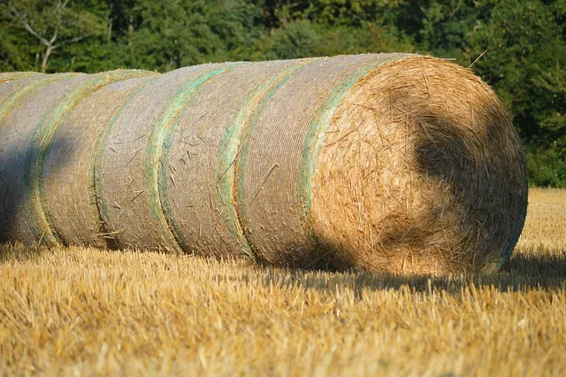 Pack de 100 pcs - Paille en inox aliméntaire curvée